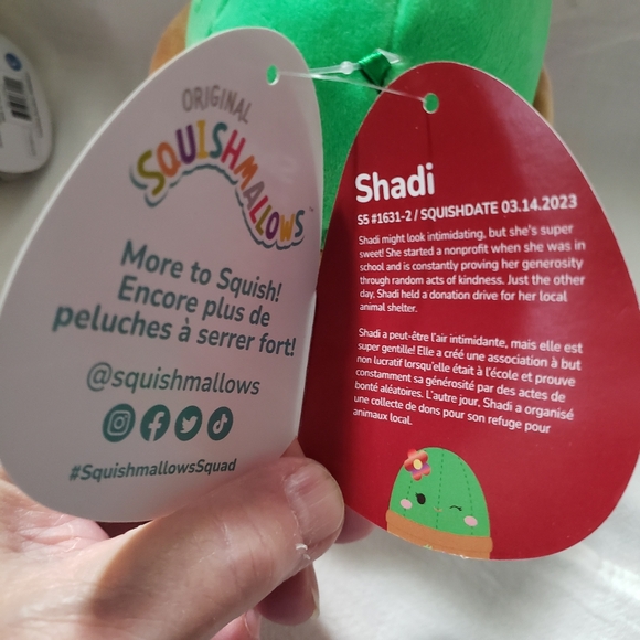 Super cute "Shadi" the Cactus NWT 5 inch Squishmallow - Picture 5 of 10